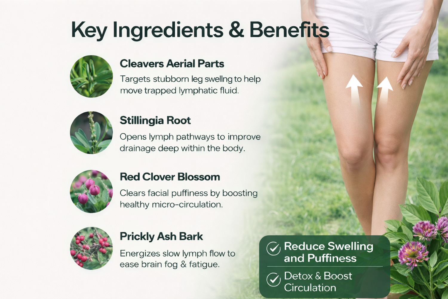 Core of Nature Lymphatic Drainage Support Drops